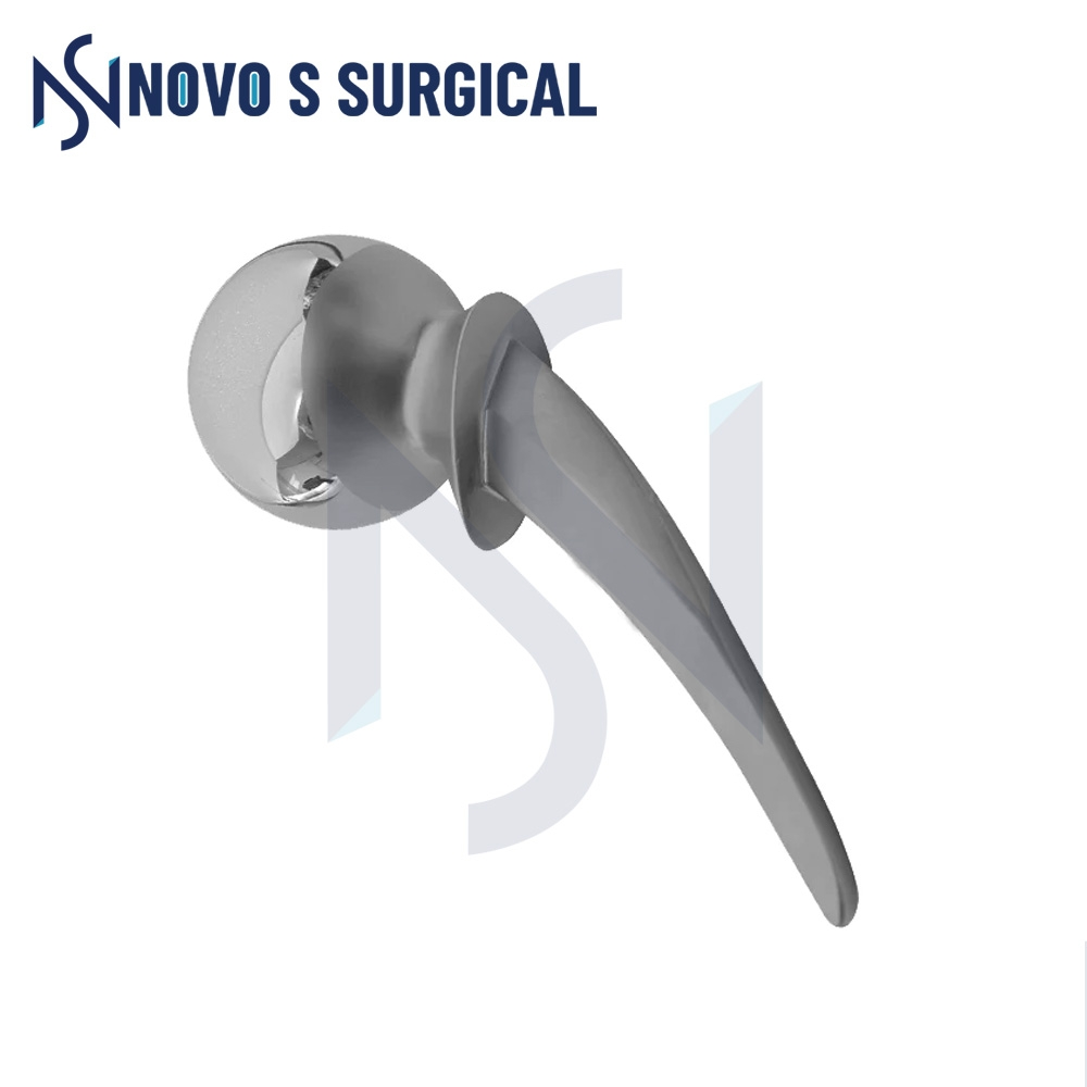 Hip Prosthesis