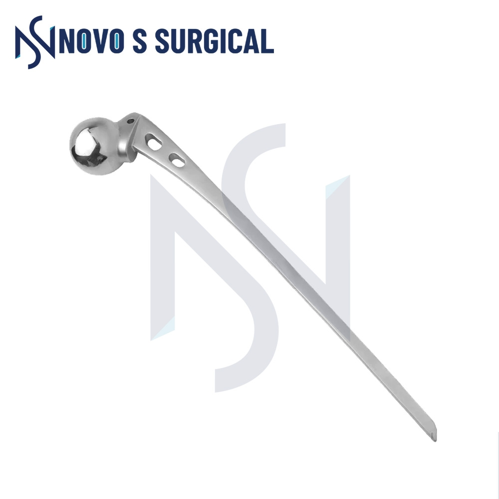 Hip Prosthesis