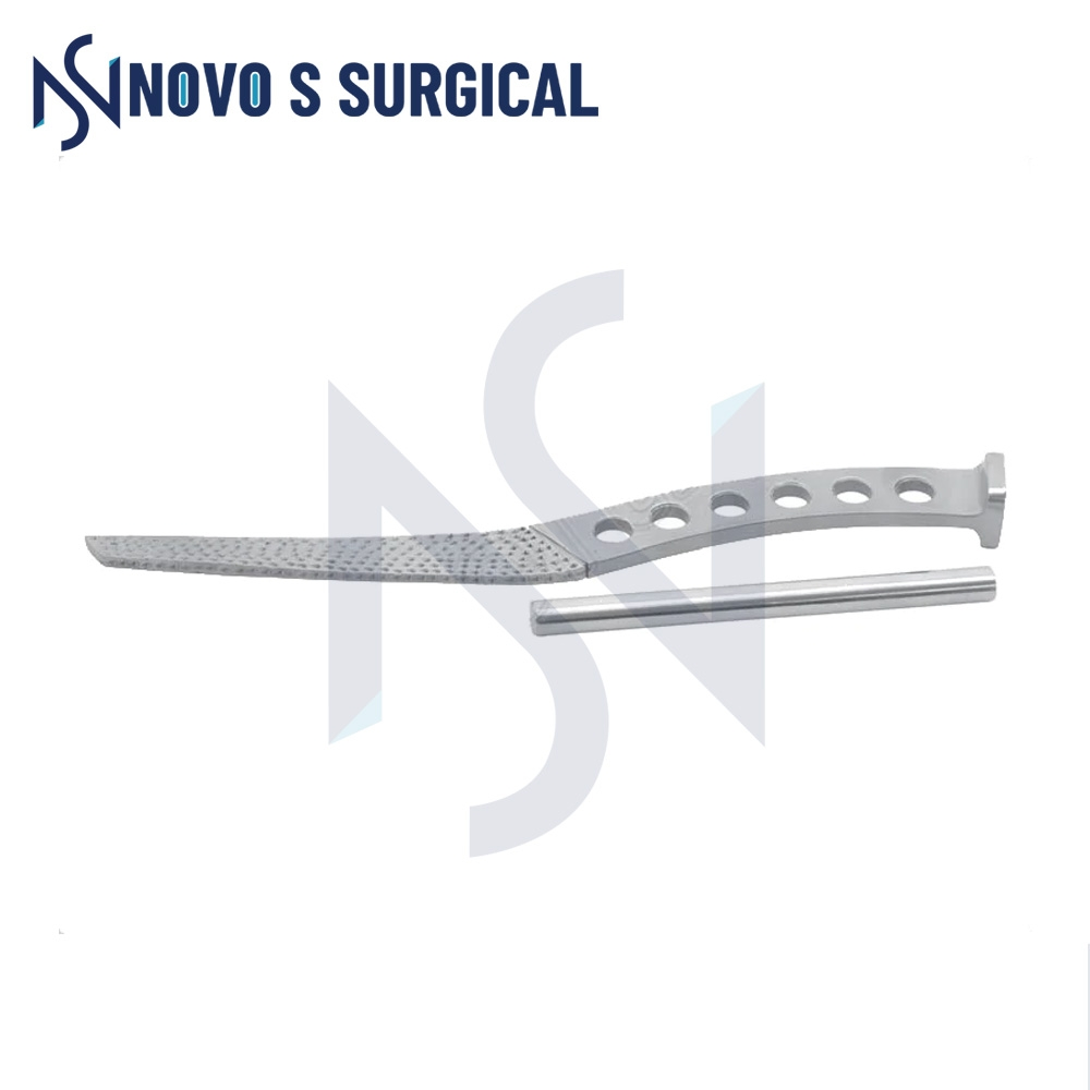 Hip Prosthesis