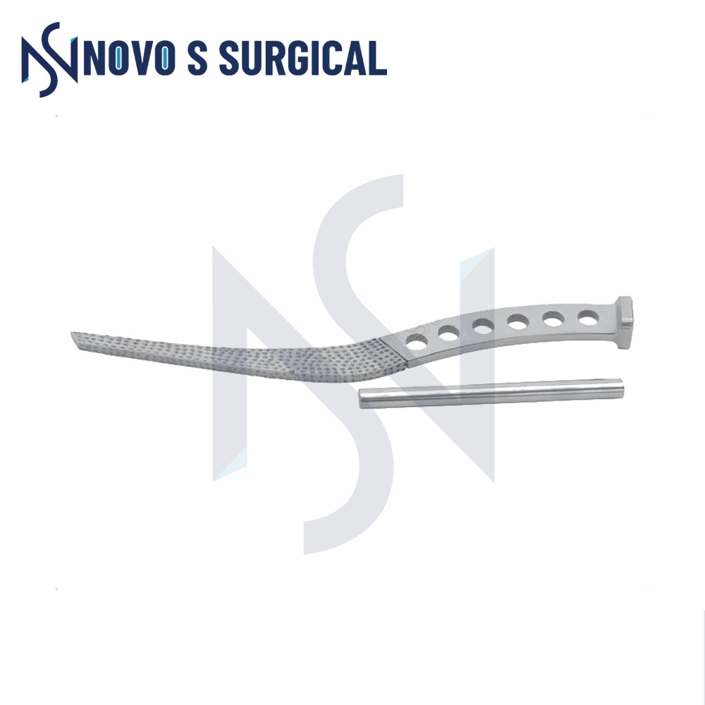 Hip Prosthesis