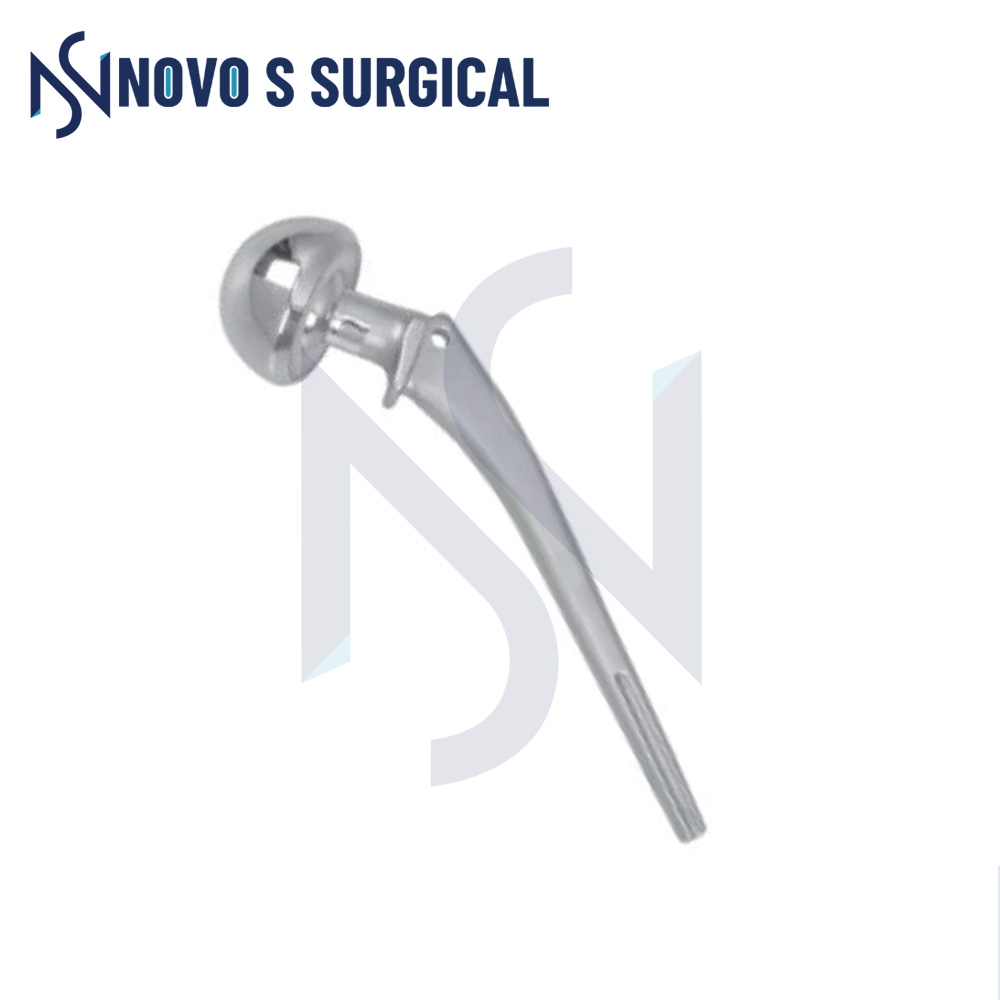 Hip Prosthesis